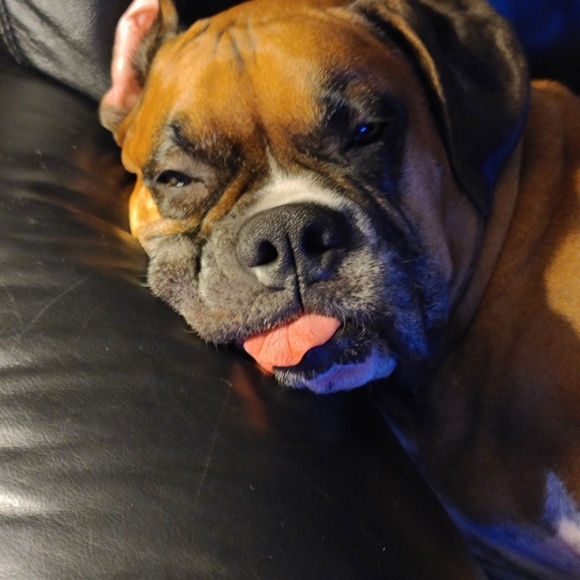 Meet your Posher, Annette - Picture 5 of 15